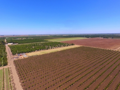 Northern California Income Producing Orchards For Sale - image 13