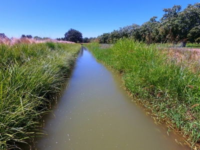 Northern California Income Producing Orchards For Sale - image 15