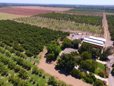 Northern California Income Producing Orchards For Sale - image 1