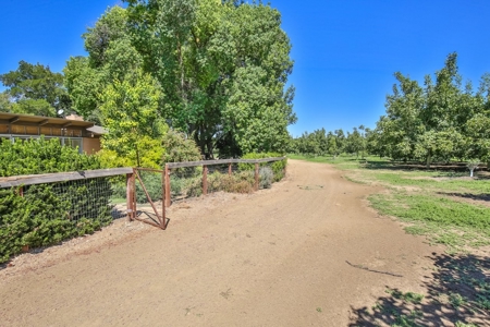 Northern California Income Producing Orchards For Sale - image 44