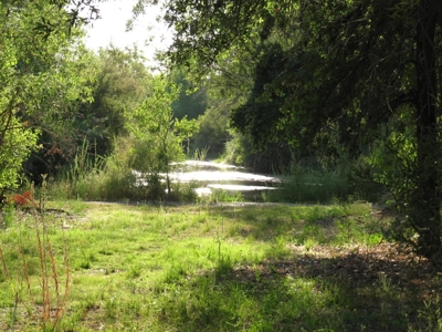 Northern California Income Producing Orchards For Sale - image 4