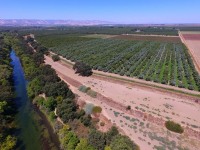 Northern California Income Producing Orchards For Sale - image 14