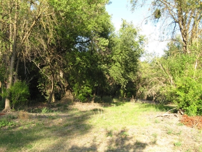 Northern California Income Producing Orchards For Sale - image 49