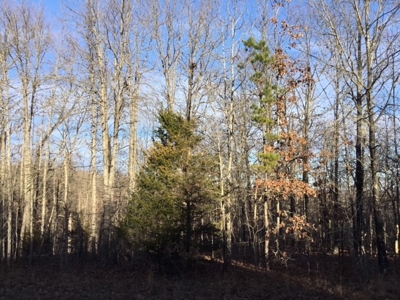 Prime Hunting Property for Sale - image 1