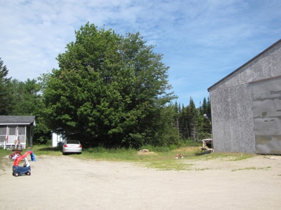 Home Business Sale in Downeast Maine - image 8