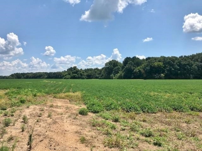 Mining Property for Sale - image 2