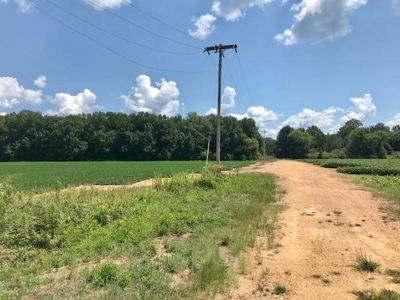 Mining Property for Sale - image 4