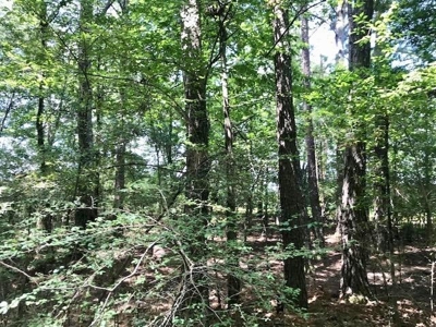 Mining Property for Sale - image 8