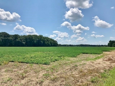 Mining Property for Sale