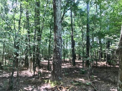 Mining Property for Sale - image 6