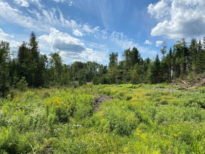 Off Grid Land with Owner Financing For Sale - image 8