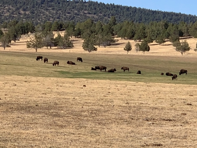 5454 County Rd. 76, Alturas CA - image 21