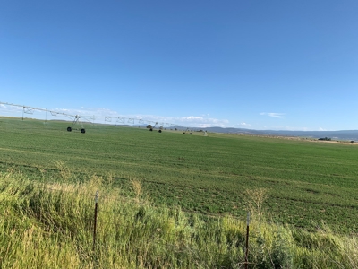 5454 County Rd. 76, Alturas CA - image 19