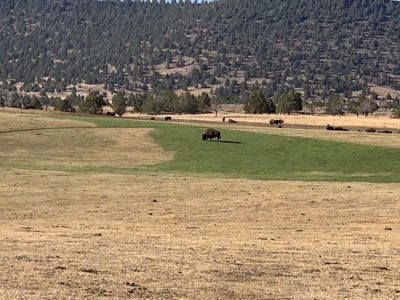 5454 County Rd. 76, Alturas CA - image 22