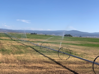 5454 County Rd. 76, Alturas CA - image 15