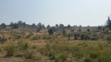 5454 County Rd. 76, Alturas CA - image 40