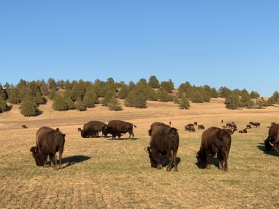 5454 County Rd. 76, Alturas CA - image 34