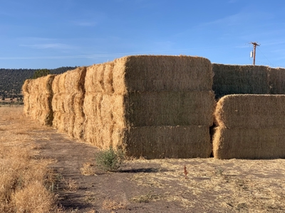 5454 County Rd. 76, Alturas CA - image 26