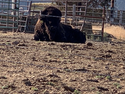 5454 County Rd. 76, Alturas CA - image 25