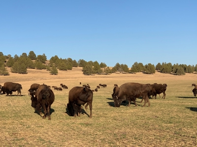 5454 County Rd. 76, Alturas CA - image 33