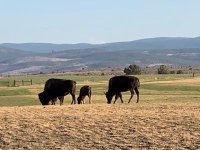 5454 County Rd. 76, Alturas CA - image 30