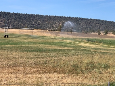 5454 County Rd. 76, Alturas CA - image 17