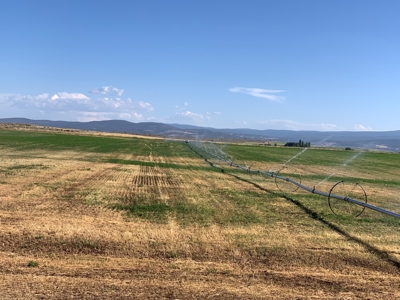 5454 County Rd. 76, Alturas CA - image 14