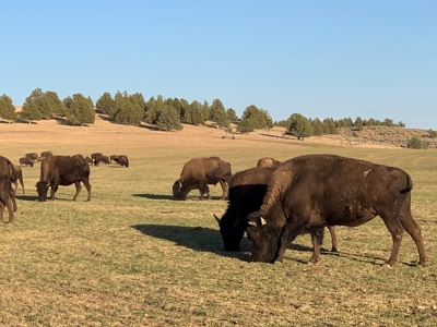 5454 County Rd. 76, Alturas CA - image 35