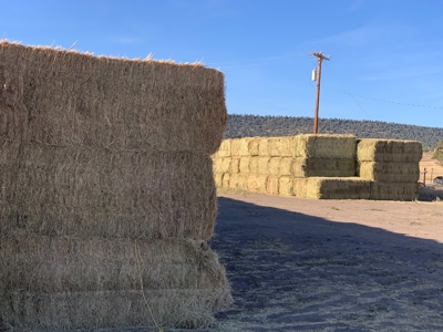 5454 County Rd. 76, Alturas CA - image 27