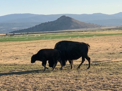 5454 County Rd. 76, Alturas CA - image 31