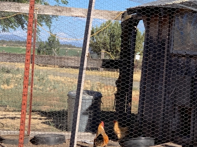 5454 County Rd. 76, Alturas CA - image 10