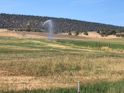 5454 County Rd. 76, Alturas CA - image 18