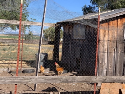 5454 County Rd. 76, Alturas CA - image 8