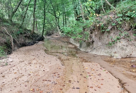 Large Hardwood Hunting Tract For Sale Wilkinson County, MS - image 20