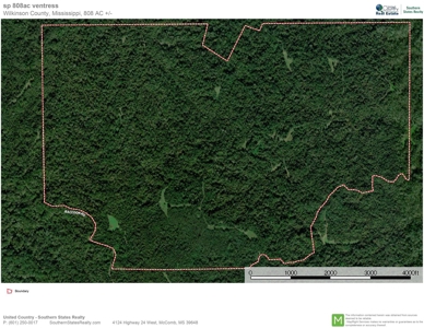 Large Hardwood Hunting Tract For Sale Wilkinson County, MS - image 48
