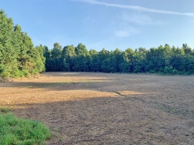 Large Hardwood Hunting Tract For Sale Wilkinson County, MS - image 38