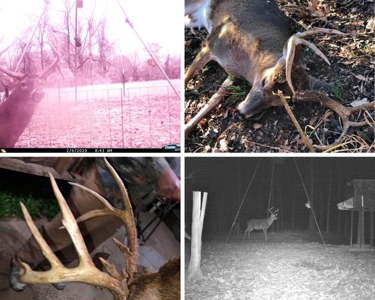 Large Hardwood Hunting Tract For Sale Wilkinson County, MS - image 3