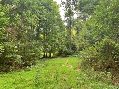 Large Hardwood Hunting Tract For Sale Wilkinson County, MS - image 10