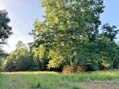Large Hardwood Hunting Tract For Sale Wilkinson County, MS - image 41