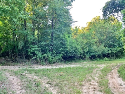 Large Hardwood Hunting Tract For Sale Wilkinson County, MS - image 31