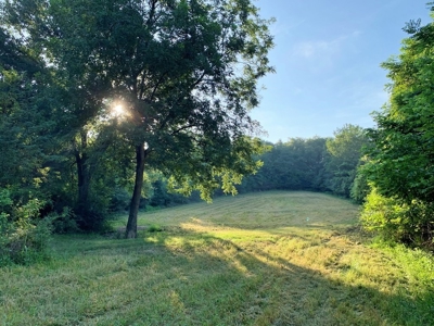 Large Hardwood Hunting Tract For Sale Wilkinson County, MS - image 35