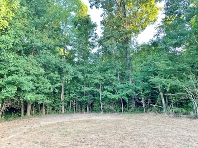 Large Hardwood Hunting Tract For Sale Wilkinson County, MS - image 42