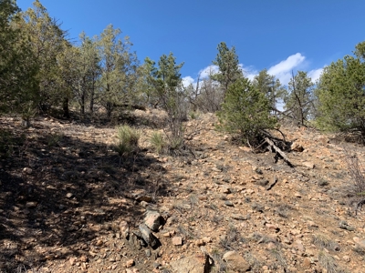 Secluded 36+ Acres in Cotopaxi,Co - image 5