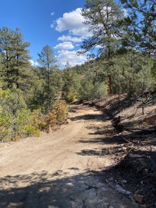 Secluded 36+ Acres in Cotopaxi,Co - image 21