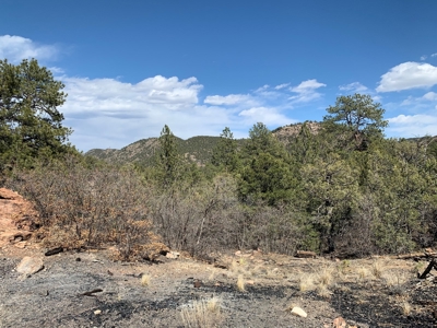 Secluded 36+ Acres in Cotopaxi,Co - image 9