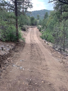 Secluded 36+ Acres in Cotopaxi,Co - image 13