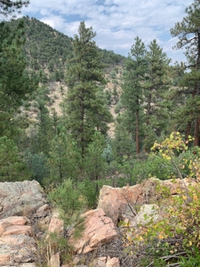 Secluded 36+ Acres in Cotopaxi,Co - image 15