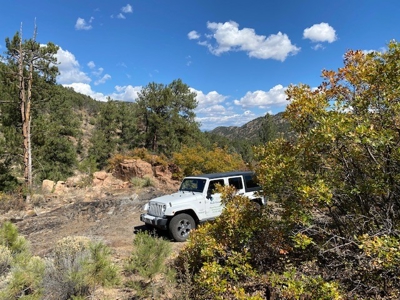 Secluded 36+ Acres in Cotopaxi,Co - image 18