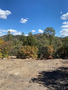 Secluded 36+ Acres in Cotopaxi,Co - image 20