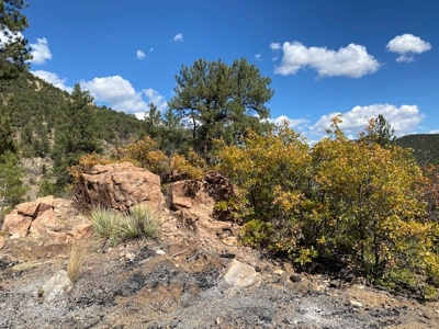 Secluded 36+ Acres in Cotopaxi,Co - image 16